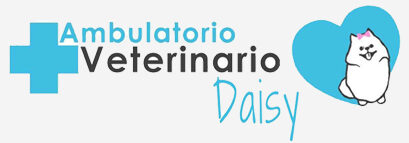 Ambulatorio Veterinario Daisy